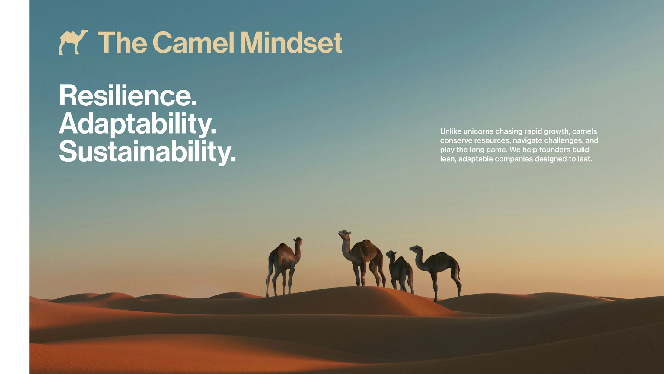 The Camel Mindset section of the DMZ homepage: the argument that founders should be camels rather than unicorns, set beside a photograph.